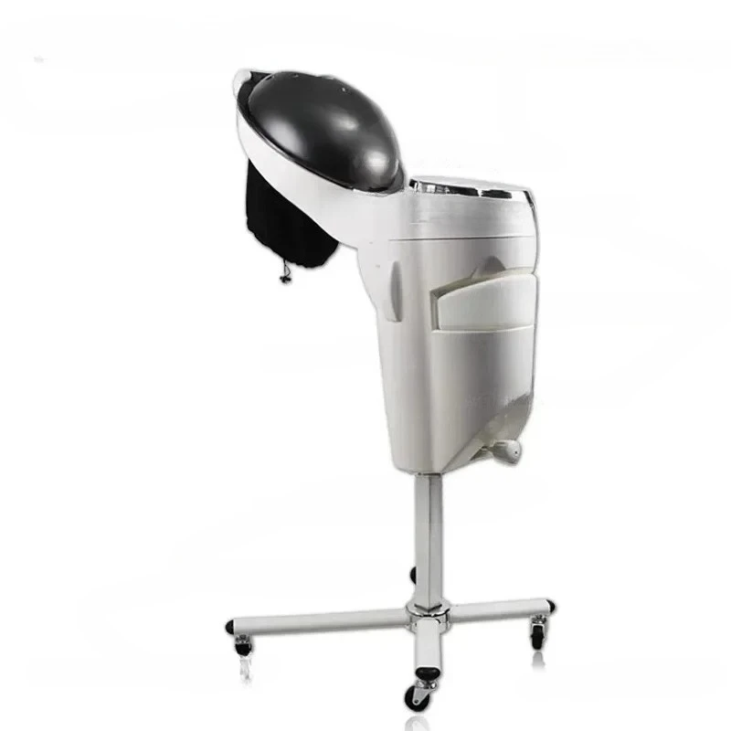 Oil Treatment Machine Ozone Micro Mist Machine Steam Care Hair Care Heater Biochemical Analyzer Barber Shop for Salon 215344564