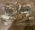 ACU Digital