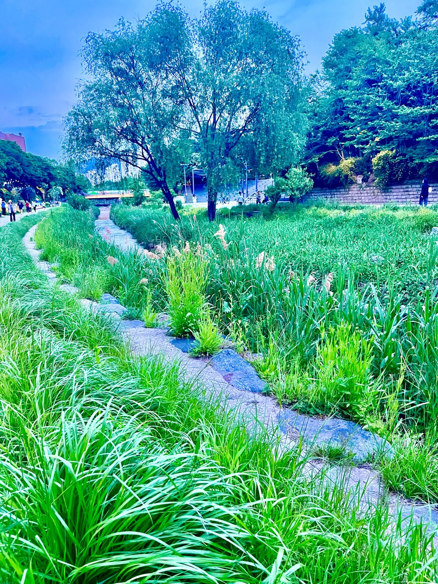 리뷰 사진