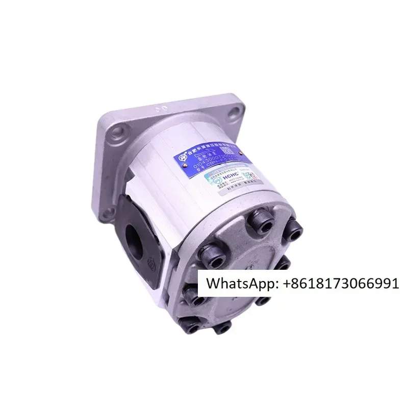 Hefei Changyuan gear oil pump CBN-F520-BFHL motor with pump sleeve coupling CBN-F63-BFP