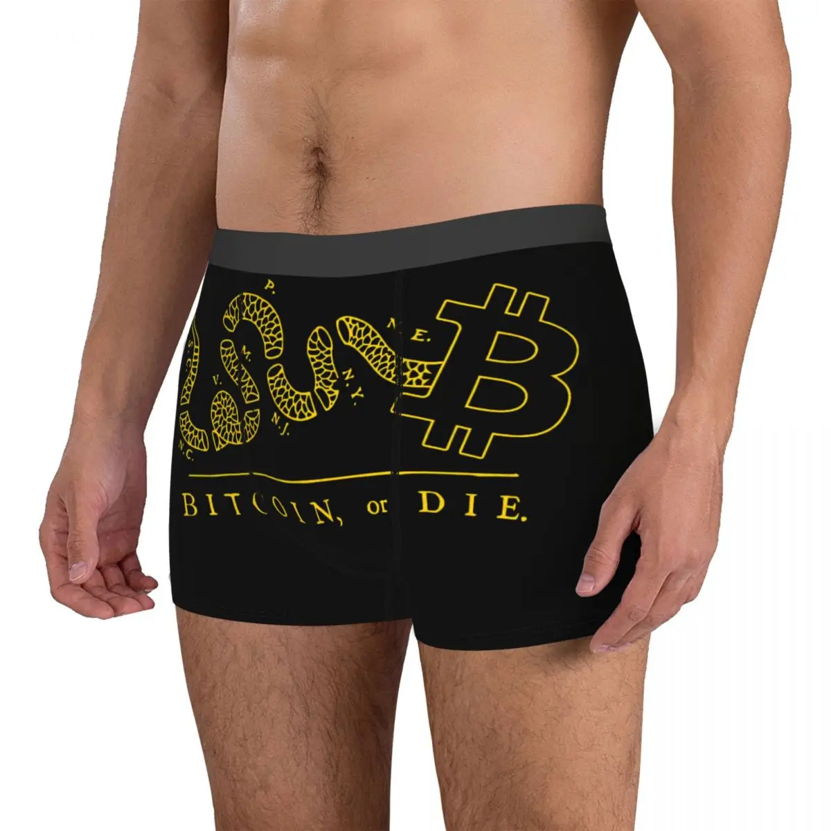 Exotic Underclothes Bitcoin Cryptocurrency Meme Vs Art 6 Autumn Wearable Men's Boxer Briefs Funny Humor Graphic