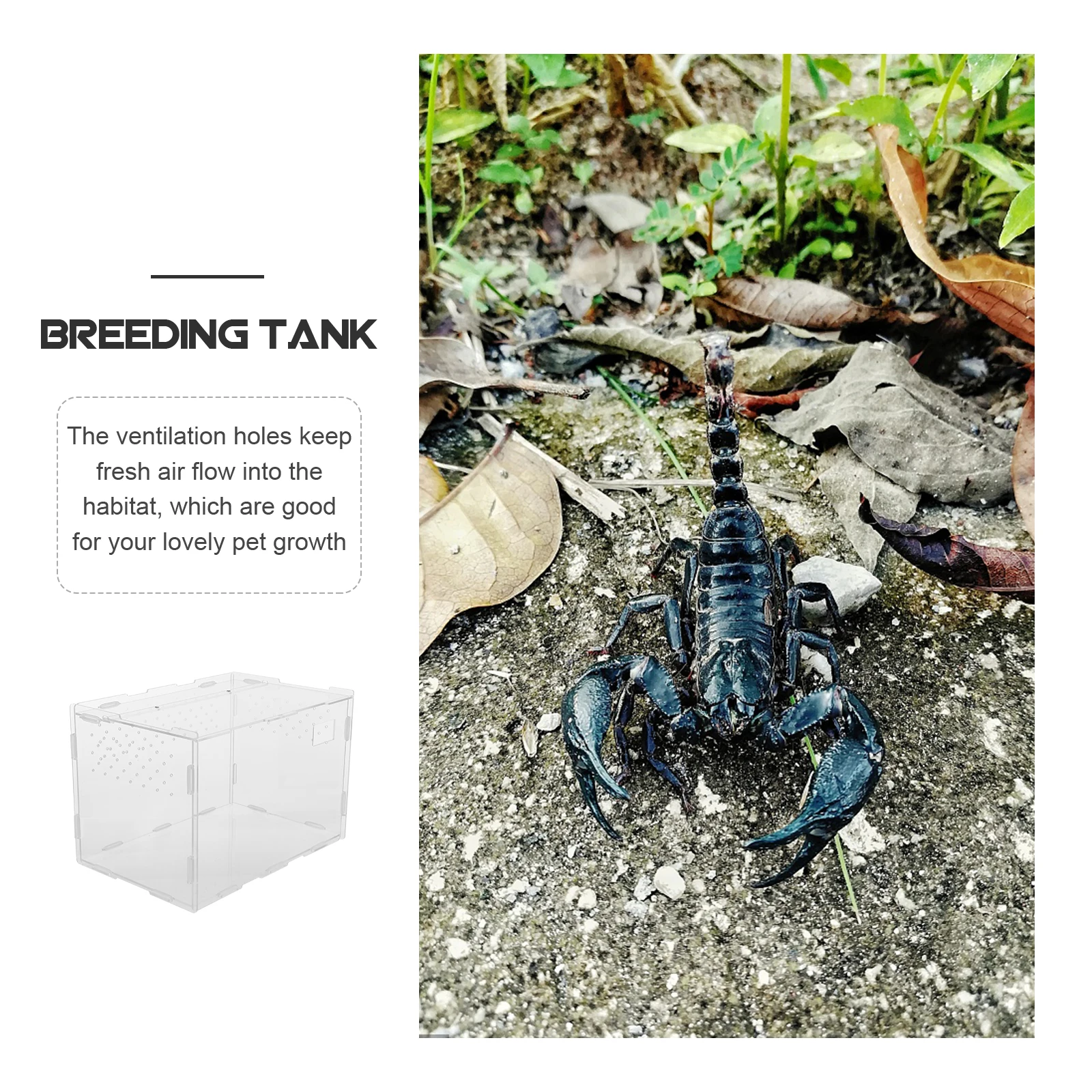 

Reptile Box Transparent Acrylic Terrarium Cage Spider Lizard Breeding Container Ventilation Holes Durable Pet Habitat