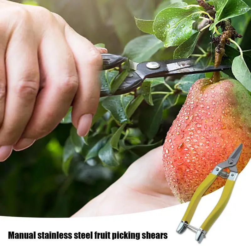 Imagem -04 - Professional Bypass Árvore Trimmer Jardim Tesoura Poda Shears Aparadores Secateurs Clippers Scissor Sharp