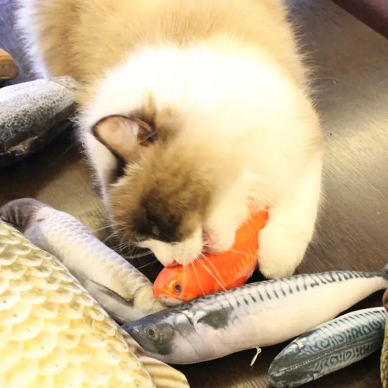Pet Plush Cat Catnip Toy Teeth Teasing Cat Toy Simulated Fish Cat Fish Throw Pillow - 2