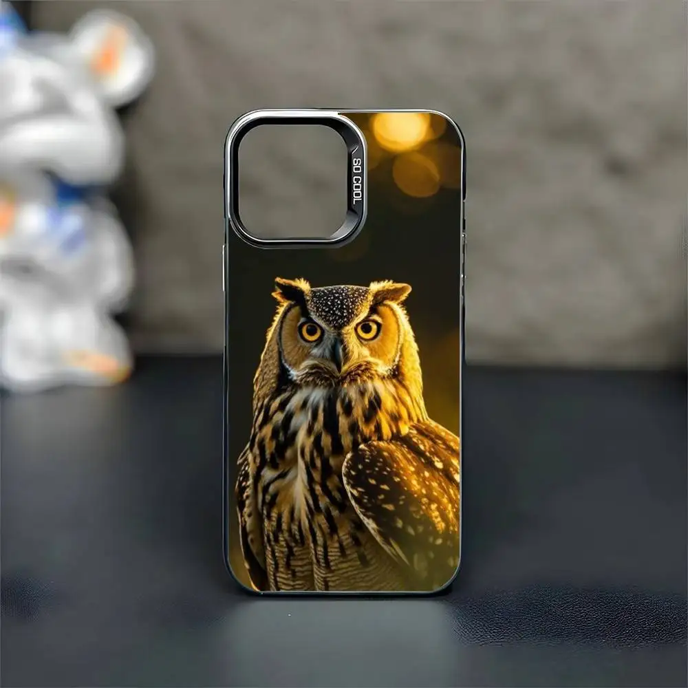 Owl Phone Case For iPhone17,16,15,14,13,12,11 Pro Max Blcak Colorful Silver Plated Inside Phone Case