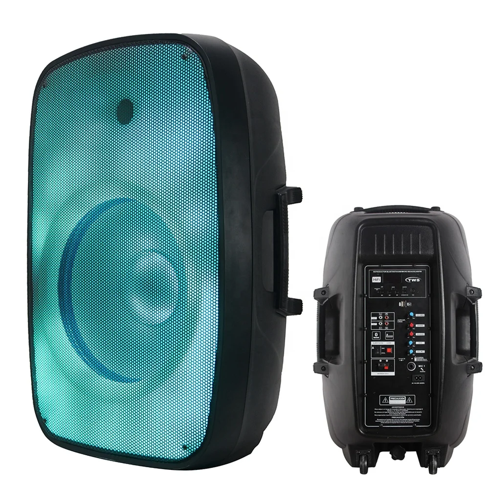 Sistema de Sonido Activo PA/DJ con Luces LED de Llama de 300W y 15 Pulgadas, Conjunto de Karaoke Inalámbrico con BT-TWS-Mic--FM-ECHO-Batería, Bocina, Parlante