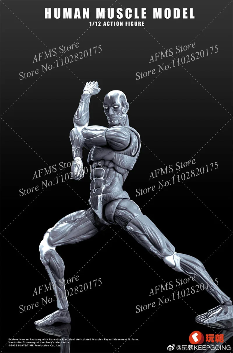 KEEPGOING Scala 1/12 Figura Da Collezione Modello Muscolare Umano 6 "Action Figure Soldato Modello di Scheletro Artista Medico Disegno Giocattoli
