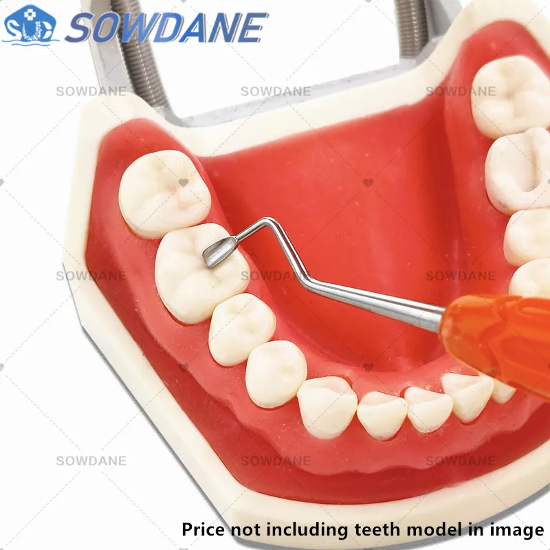 Dental Aesthetic Restoration Tools Replica Posterior for Simplifying Occlusal Modeling of Posterior Silicon Dental Modeling tool