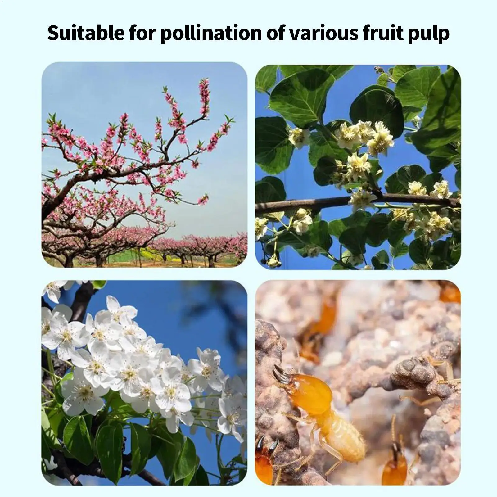 

Аппликатор для садового порошка, диспенсер для томатных цветов, регулируемый инструмент для быстрой заполнения, инструмент для киви, овощей