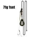71g 1set