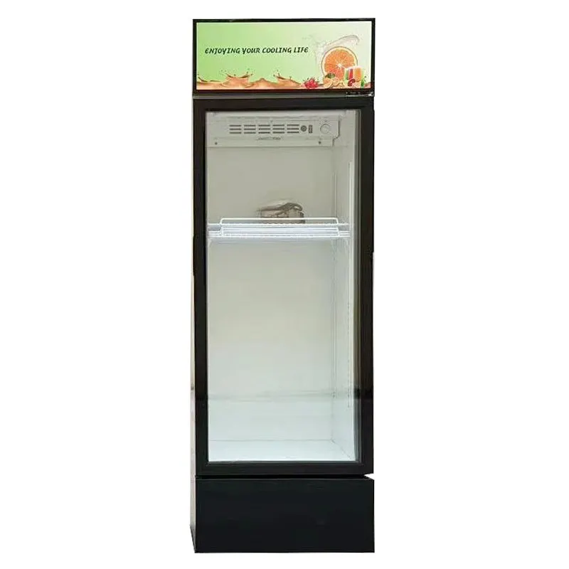 Upright solar DC 12V/24V display cabinet refrigerated cabinet shopping mall supermarket beverage skd/ckd