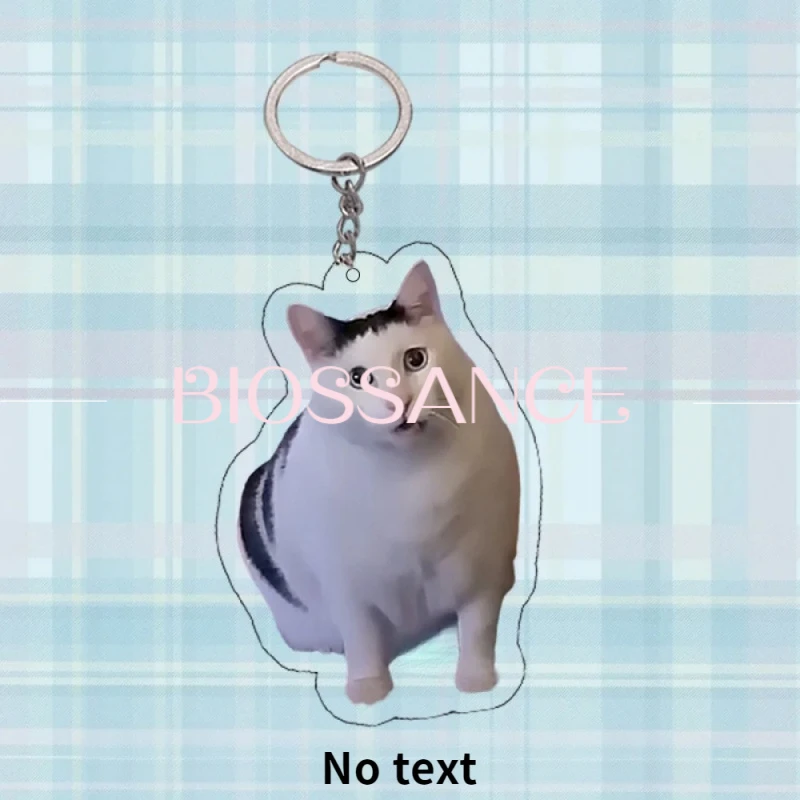 New Fashionable And Exquisite Huh Doubtful Cat Acrylic Keychain Funny Pet Pendant For Men And Women Jewelry Accessories Gifts