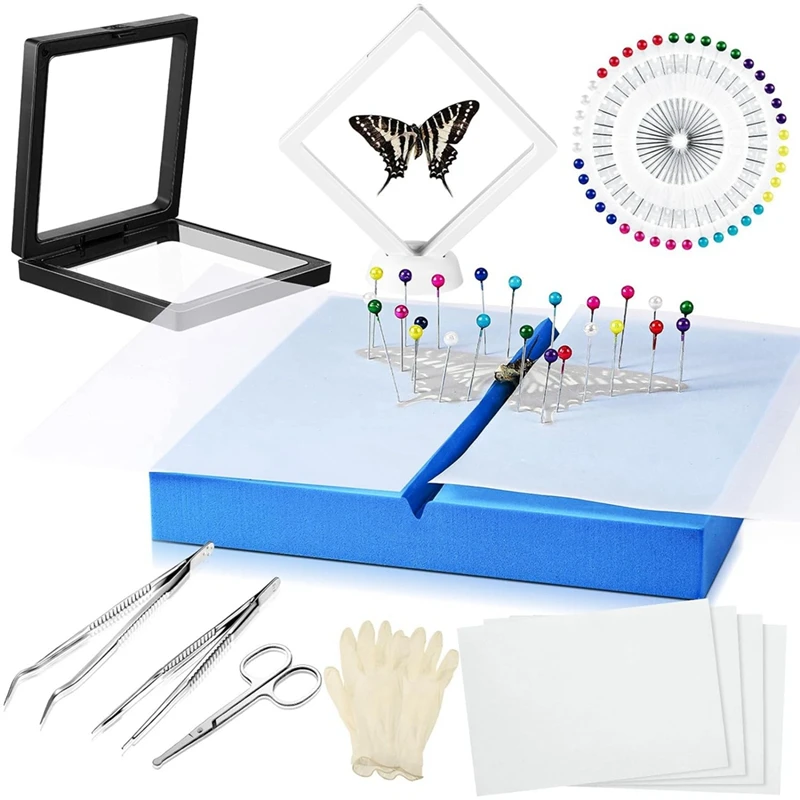 Insect Specimen Tool Kit Butterfly Specimen For Classroom Teaching Pin Wing Press Paper Tweezers Insect Display Box Durable