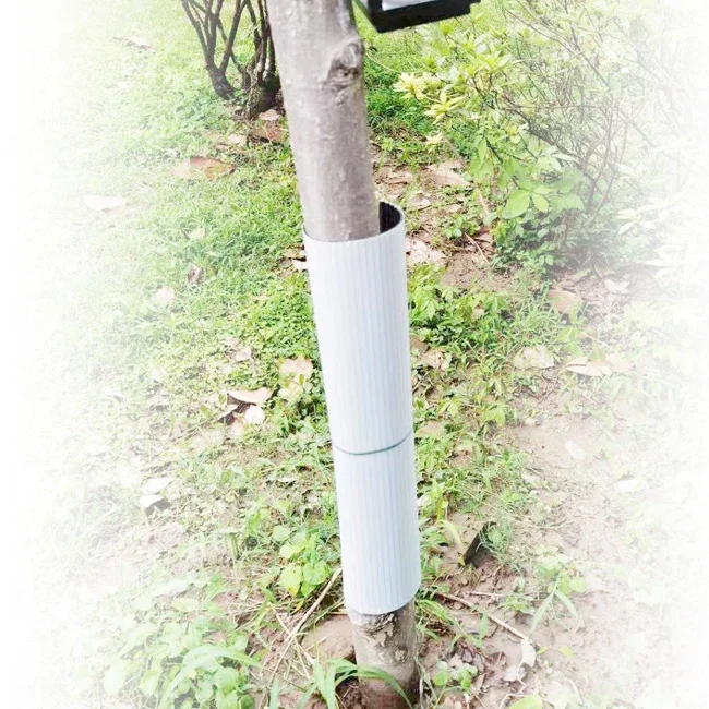 Baums chutz aus Kunststoff