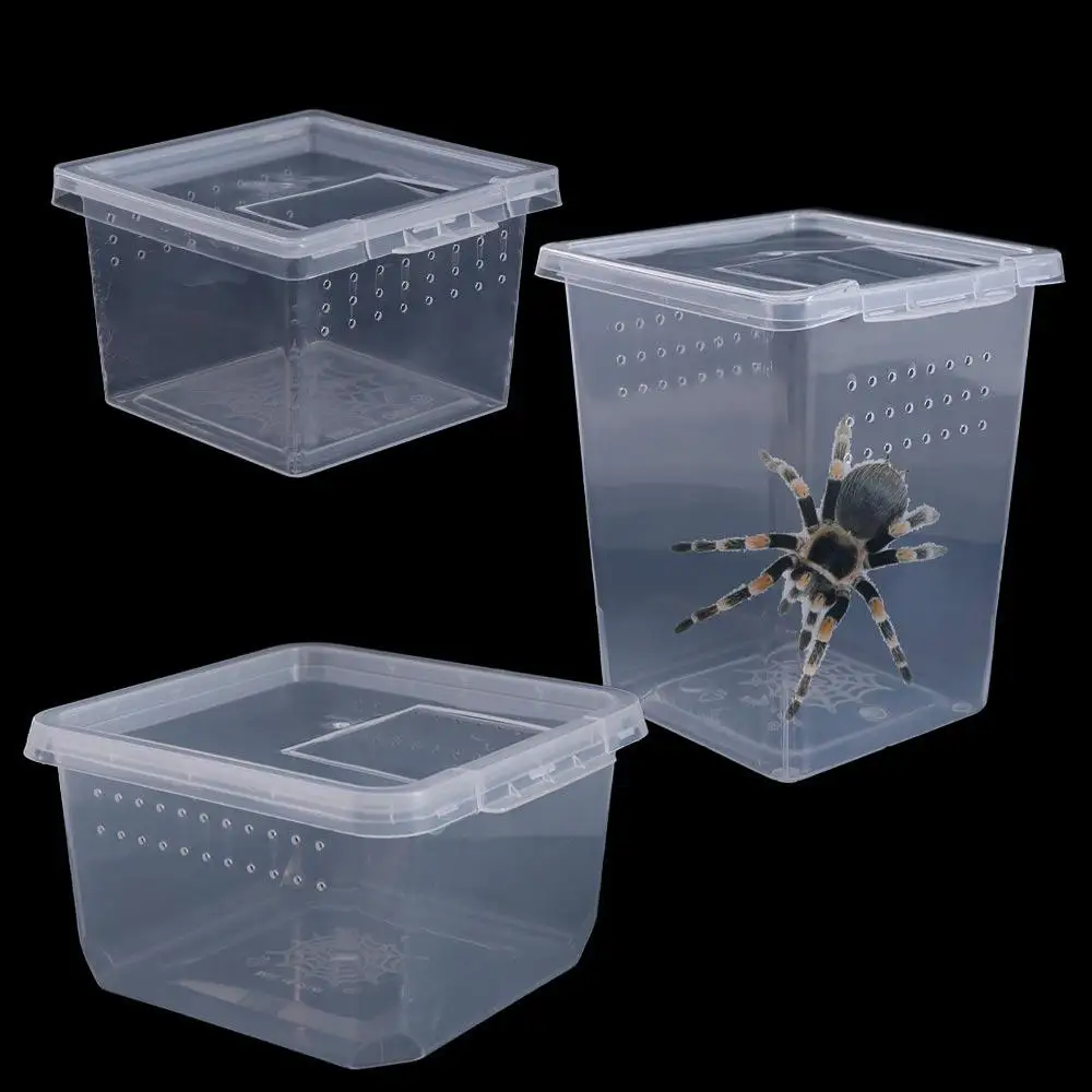 voor Scorpion Spider Mieren Reptiel Accessoires Transparante Insect Voederdoos Reptiel Habitat Uitkomen Tank Hagedis Living Box