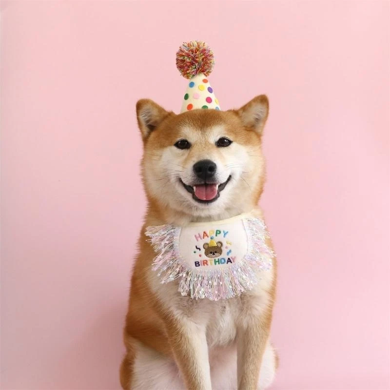 

Small Pet Birthday Hat Summer Spring Carnivals Photography Dogs Birthday Hat with Sequins Tassels Hat for Celebration