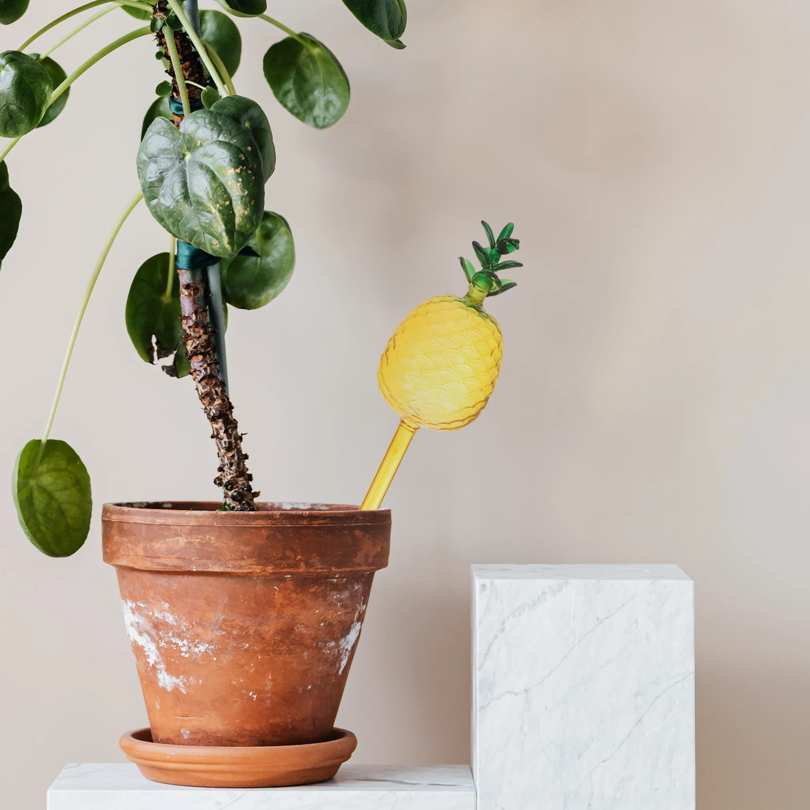 

Plant Watering Globes Automatic Watering Device Sturdy Glass Material Sufficient Water Delivery Indoor Outdoor Travel