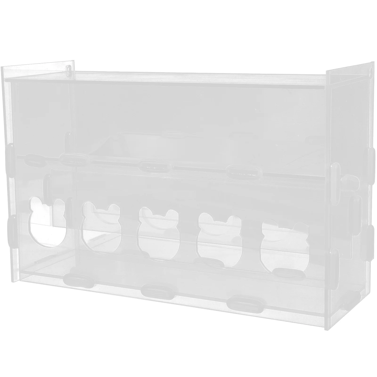 Mangeoire automatique jetable pour animaux de compagnie, support transparent, fournitures pour perroquets et oiseaux