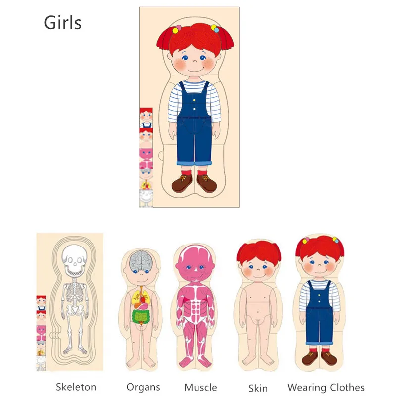 Puzzle en bois du corps humain, jouet Montessori pour garçons et filles, structure du corps, jouet en bois
