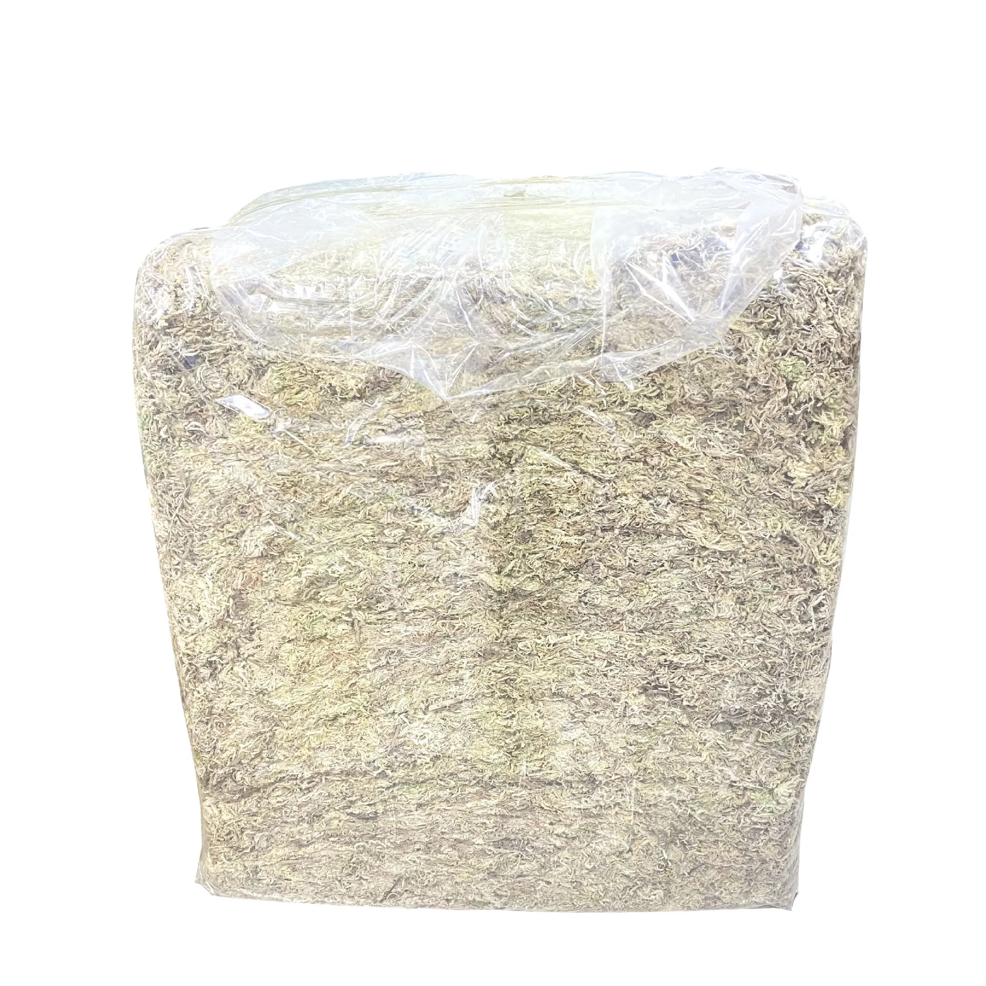 Sphagnum Moss 2.5kg Bulk Compr - Sphagnum Moss Dry 评论和价格