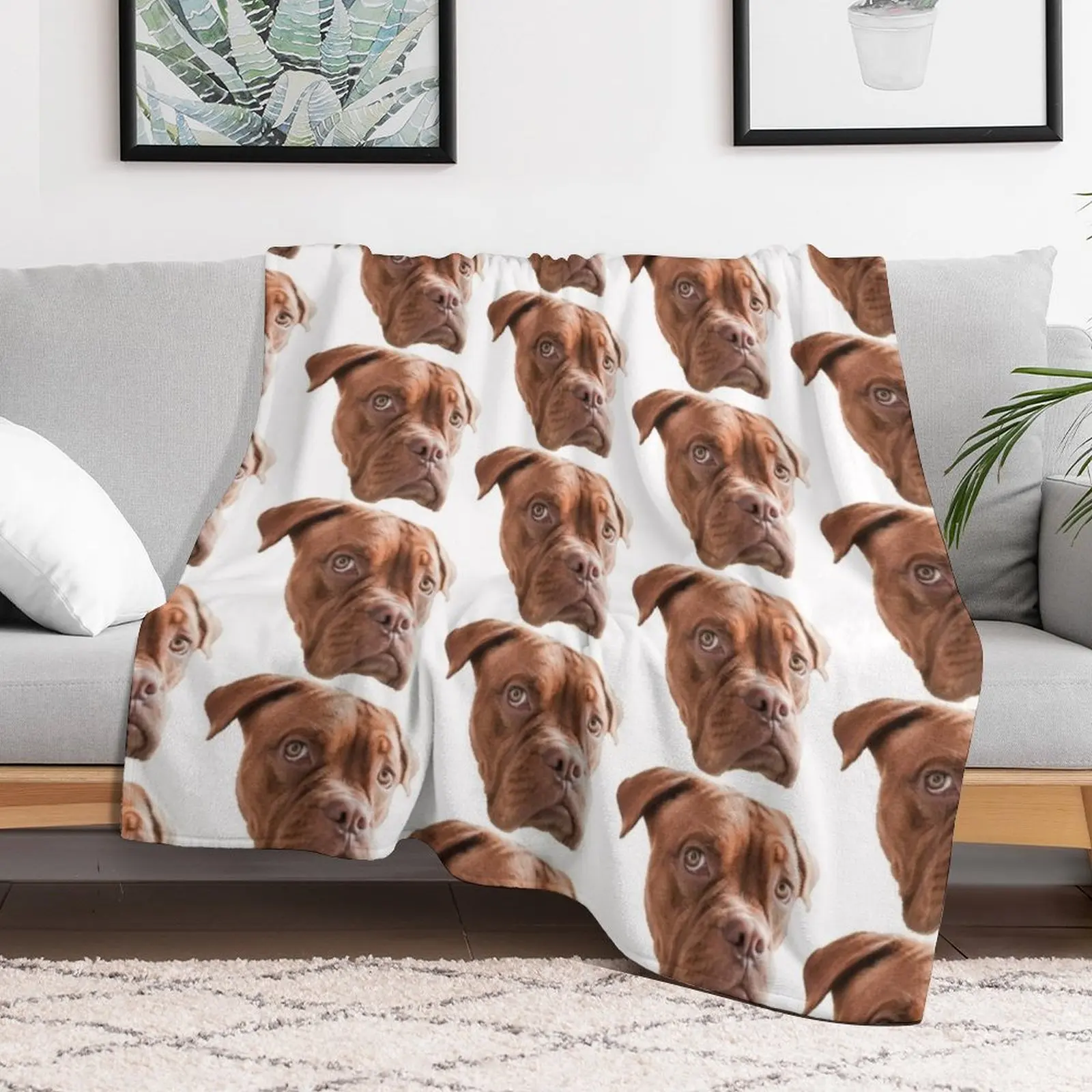 New Melancholic Dogue de Bordeaux Throw Blanket Blankets For Sofas Camping Blankets