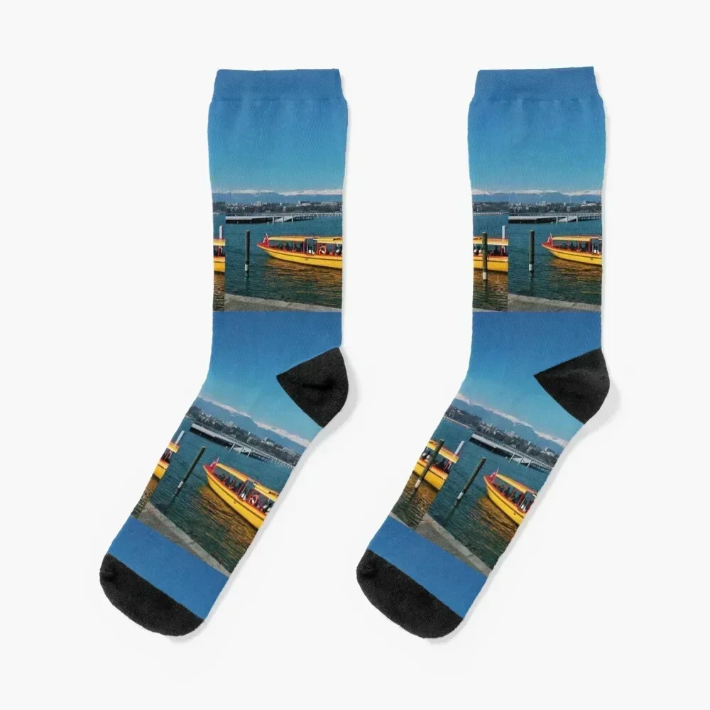 

Lake Geneva Socks anti-slip designer brand retro gift Socks Woman Men's