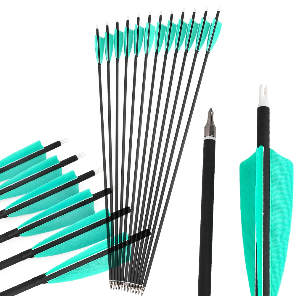 

6/12pcs Carbon Arrows Spine 500 Archery Arrow ID 6.2mm Arrow Shaft 100Gr Replaceable Arrowheads Turkey Feather Shooting Hunting