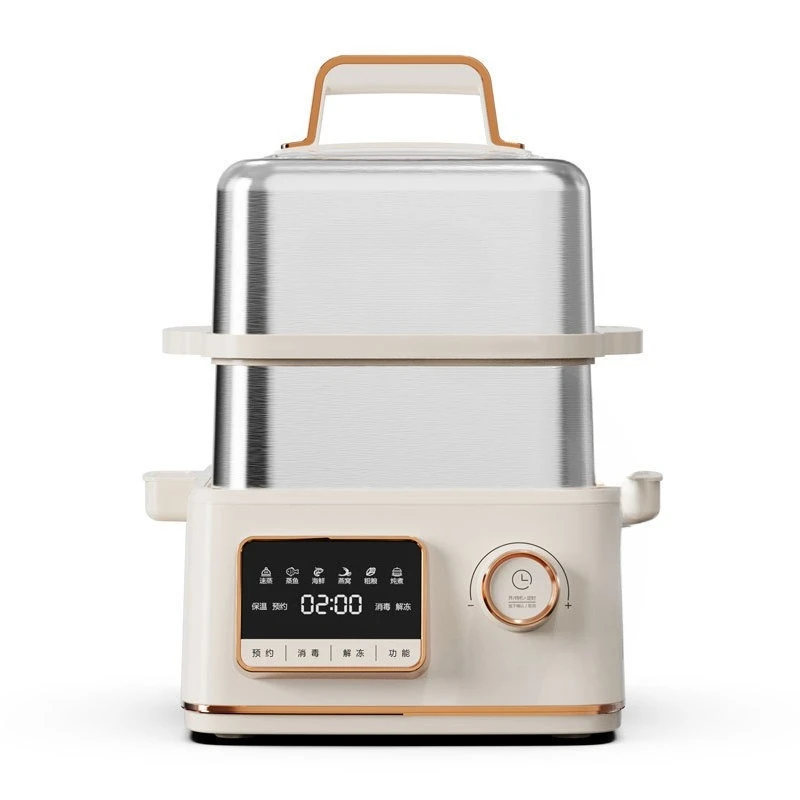 Electric Steamer DY…