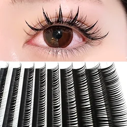 Wet Look Cosplay Eyelash Extensions Cluster Volume Lashes D Curl 8-15mm Soft Mink False Eyelashes Individual Lash Russian Volume