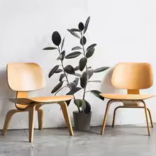 Molded Plywood Simple Leisure Chair