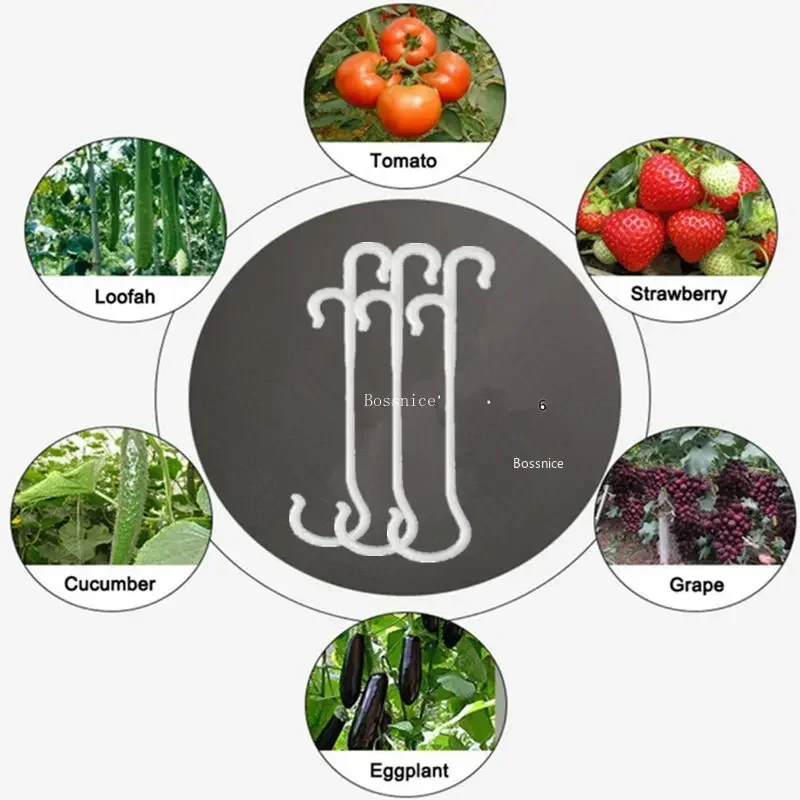 10 szt. Haczyków podtrzymujących plastikowe owoce, pomidory, haczyki na pomidory, haczyki na pomidory, do podtrzymywania roślin i warzyw, akcesoria