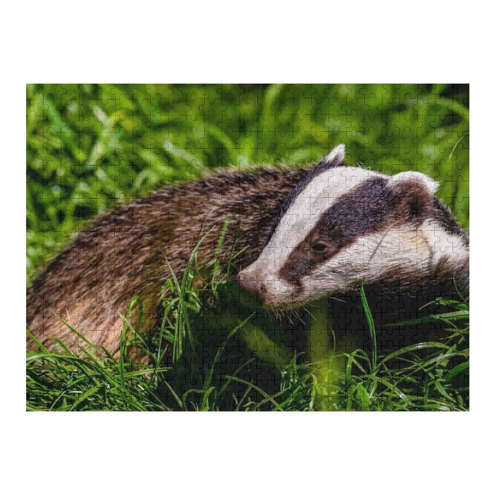 

Пазл Mr Brock the Badger, индивидуальное изображение, персонализированные игрушки, персонализированный пазл