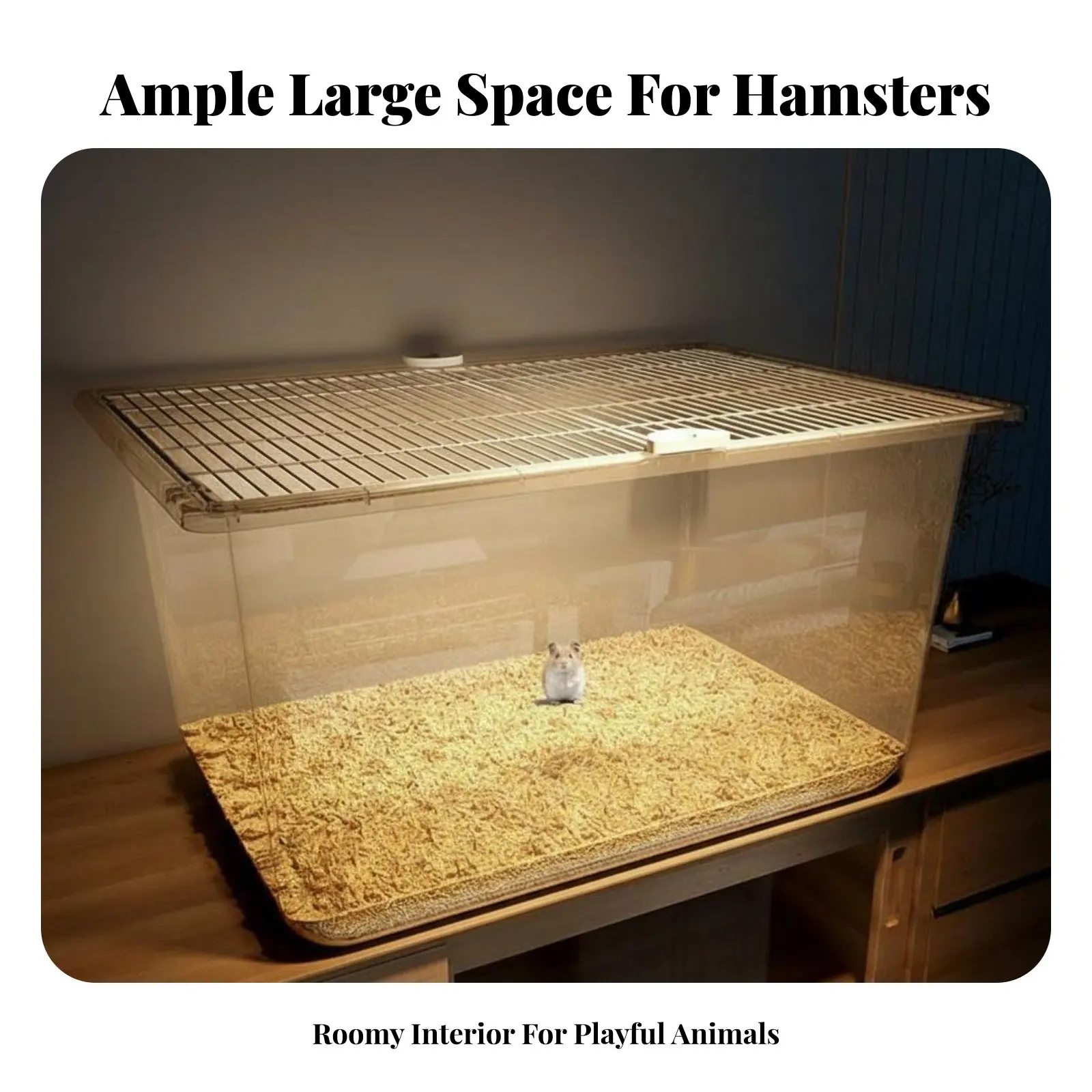 Large Transparent H…