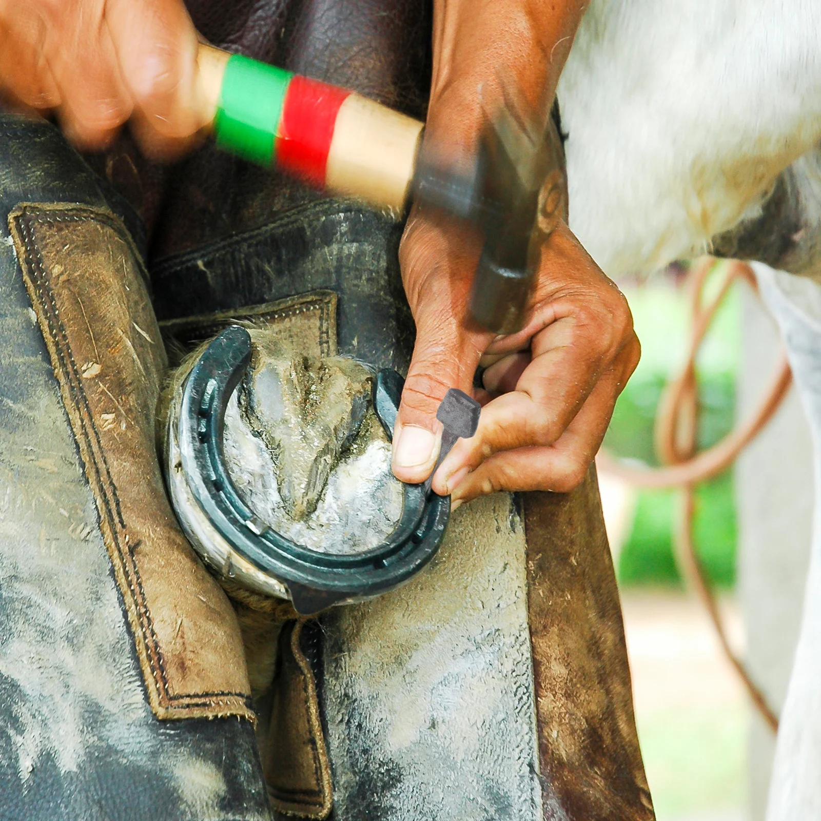 20 قطعة مسامير حدوة الحصان صلابة عالية أدوات حافر الحديد مقاومة للتآكل آمنة تناسب حماية الخيول Farriers ومستقرة