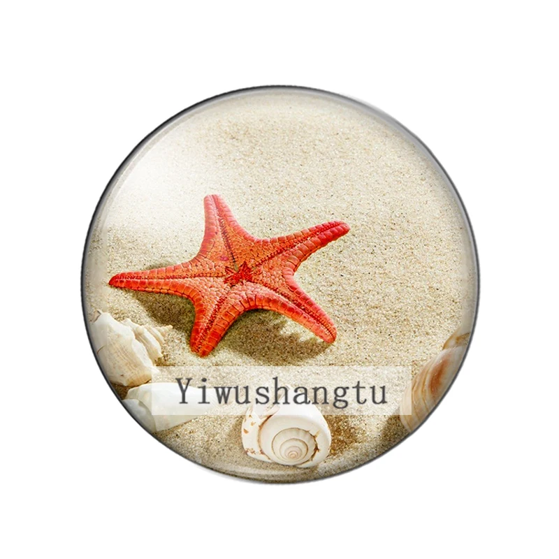 Cute Starfish Shell Art marine animal Paintings 12mm/18mm/20mm/25mm Round photo glass cabochon demo flat back Making findings