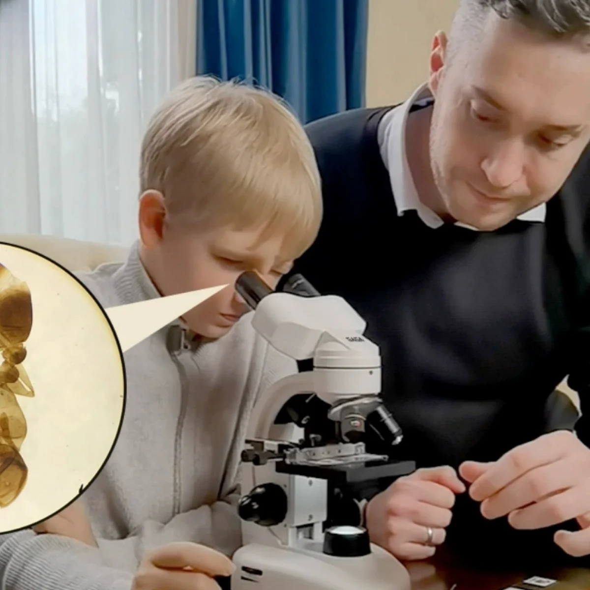 25PC Slices Microscope Slides Plants Animal Human Tissue Specimen Water Flea Sample Section Biological Permanent Slicing Lab