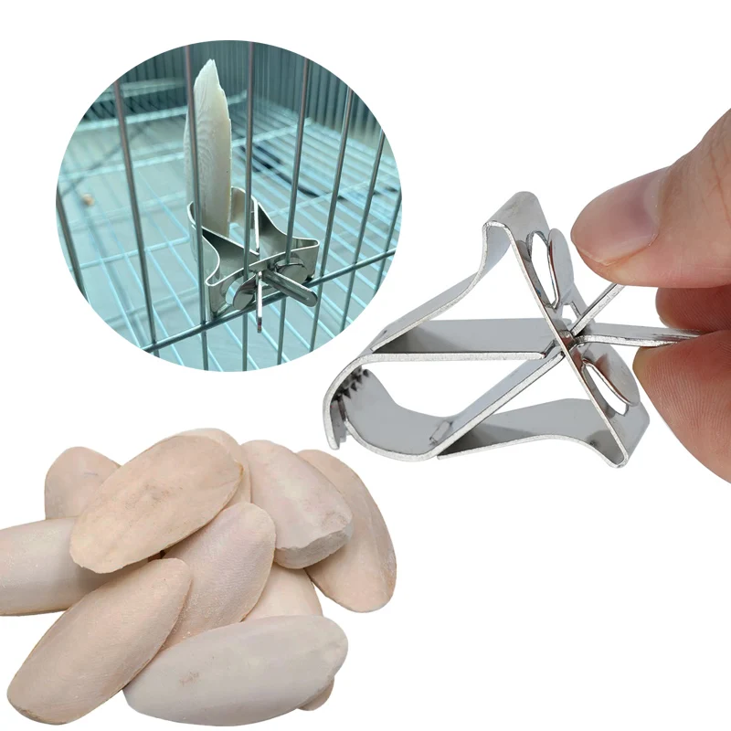 

Bird Parrot Treat Holder Small Animal Fruit/Vegetable Feeder Metal Food Clip Feeding Tool Parrot Molded Teeth Cuttlefish Bone