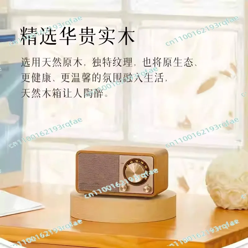 Portable Radio Pare…