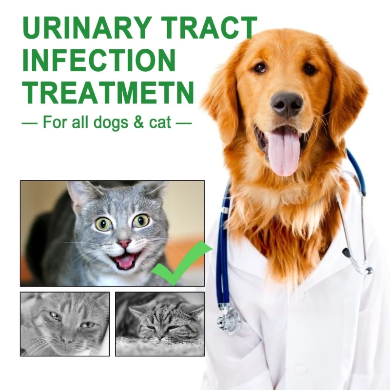 Pet Bladder Urinary Tract Support Oil for Dogs Cats for Urinary Tract