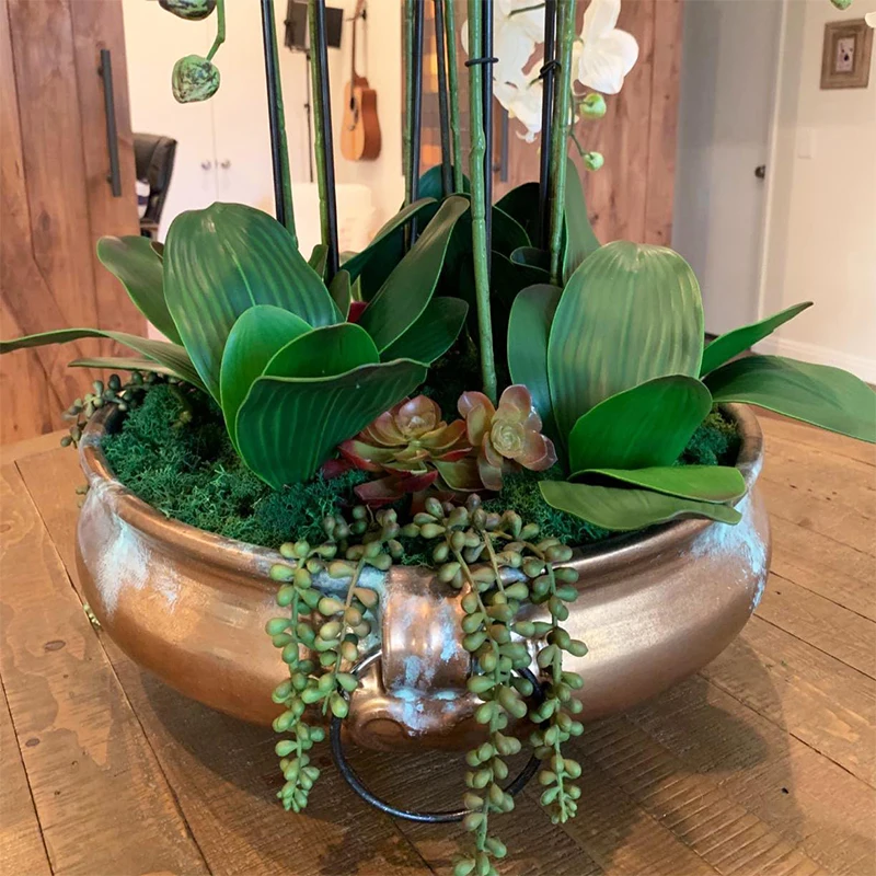 1 قطعة كبيرة الحجم الاصطناعي الأخضر فالاينوبسيس محاكاة العثة الأوركيد ورقة اللاتكس الحقيقي اللمس النباتات الخضراء 5 بتلات لحديقة الزهور