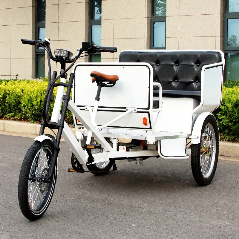 Adult tricycle bicycle, human tricycle rickshaw LED advertising light box