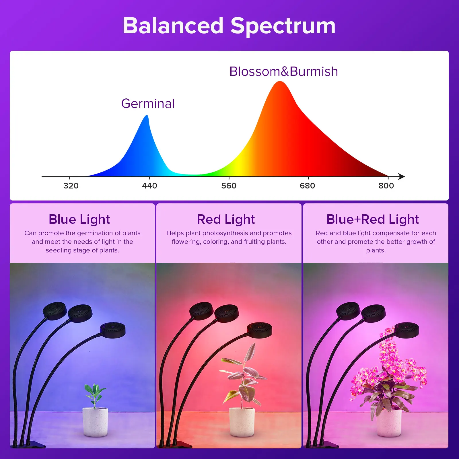 24W Power Full Spectrum Gooseneck Grow Lamp for Indoor Plants 3 Modes 5 Dimmable Brightness Timer Clip-on Plant Lights for Seeds