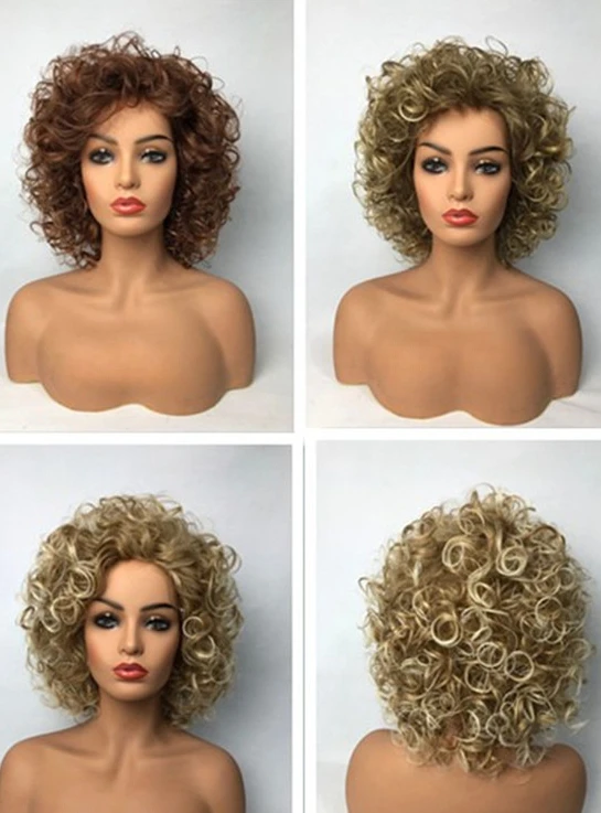 

New Short Wavy Curly Ladies Hair Fluffy Brown Blonde Wigs