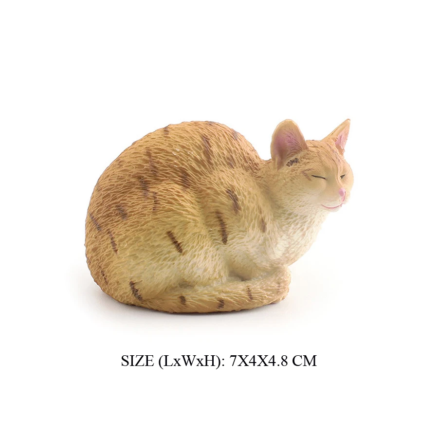 Cat -29