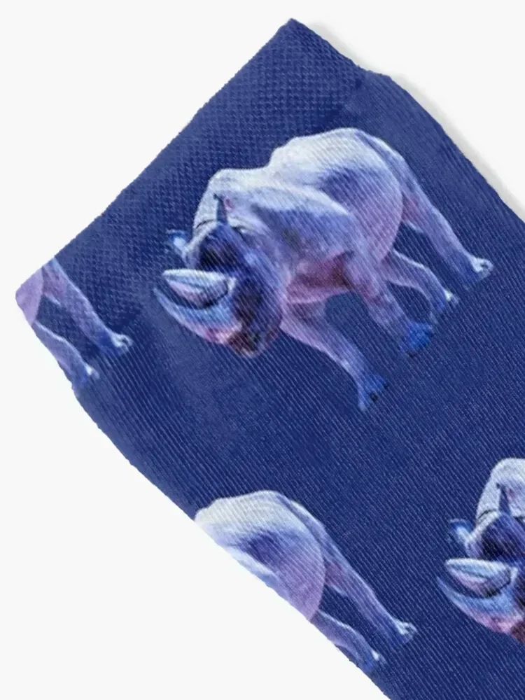 Purple Blue Rhino, Natural African Animals Socks designer new year Toe sports sheer Socks Female Men's