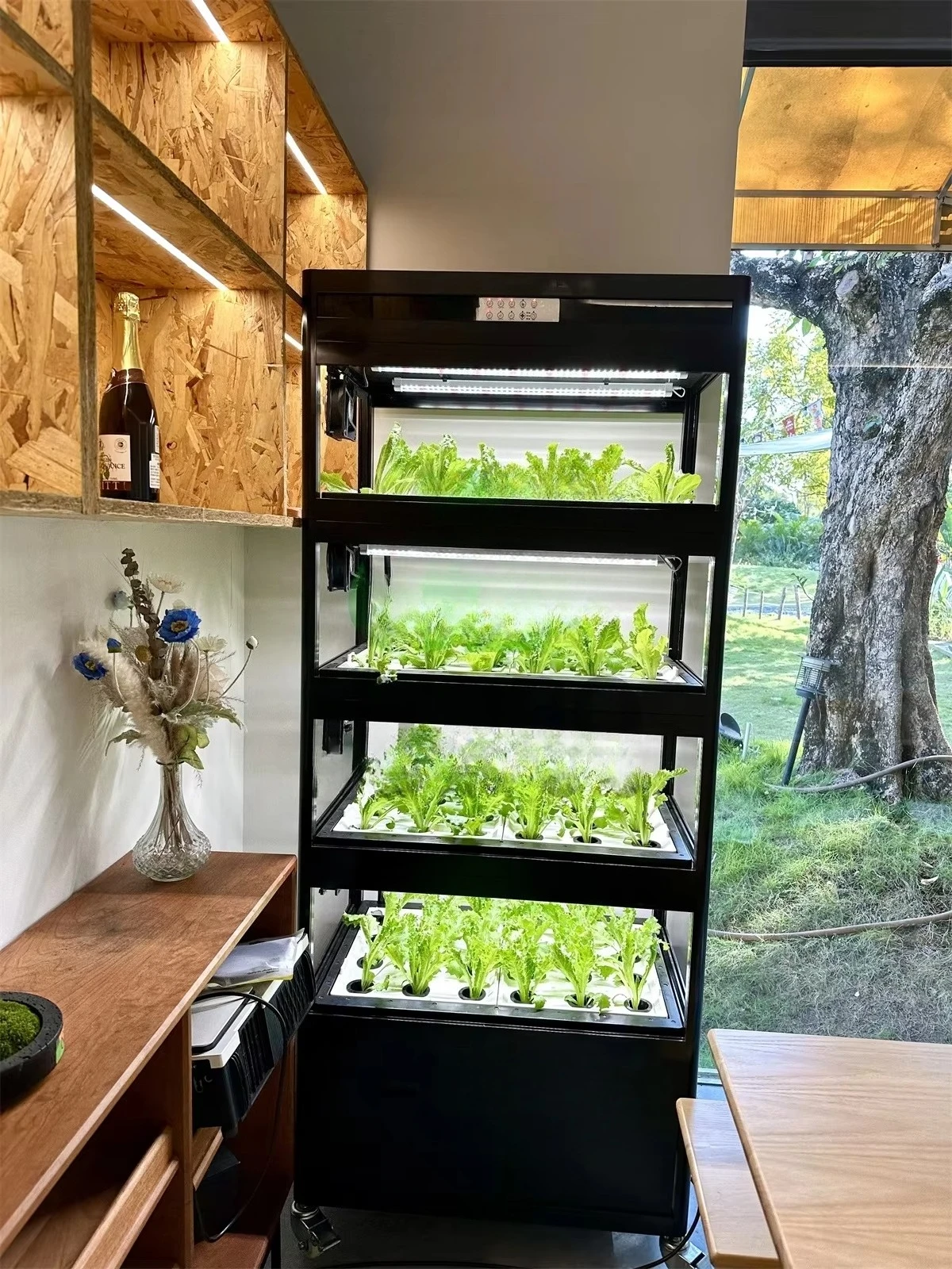 Armário Inteligente de Aquapon - Aquaponics Home Kit avaliação e preço