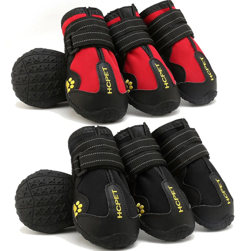 : Chaussures pour chien