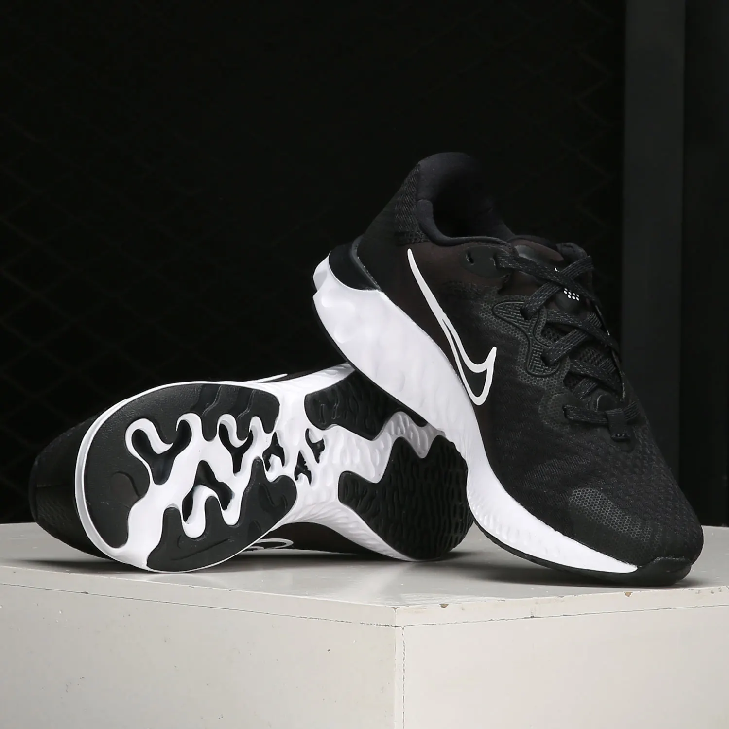 

Nike Authentic RENEW RUN 2 Women's Lightweight and Comfortable Running Shoe CU3505-005