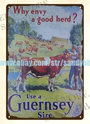 Letrero metálico de estaño para ganado vacuno de la granja A Good Herd Guernsey Sire Cattle