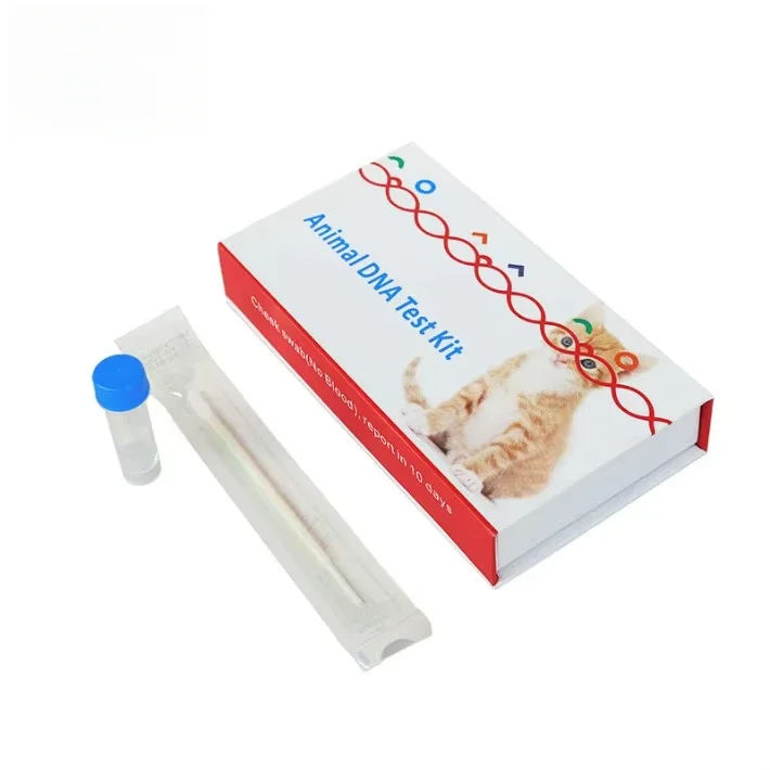 Veterinary Diagnostic Dna Collection test Swab Tube Kit Birds Cat Pet Canine Breeding Dna test Microbiology Test Kit